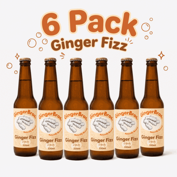 Ginger Fizz 6-Pack